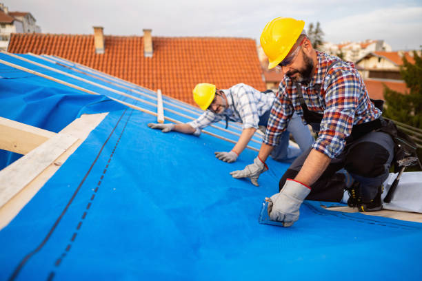 Best Green or Eco-Friendly Roofing Solutions  in Leland Grove, IL