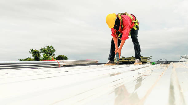 Best Chimney Flashing Repair  in Leland Grove, IL