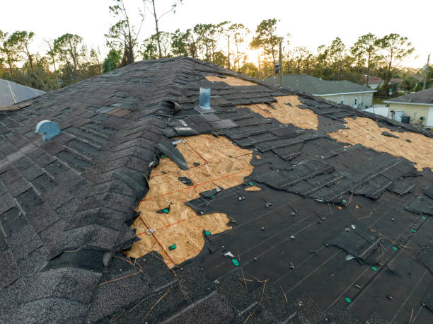 Best 4 Ply Roofing  in Leland Grove, IL