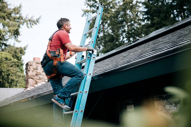 Best Roof Coating and Sealing  in Leland Grove, IL
