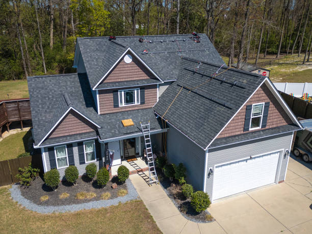 Best Roof Moss and Algae Removal  in Leland Grove, IL